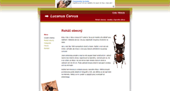 Desktop Screenshot of brouci.vyrobce.cz